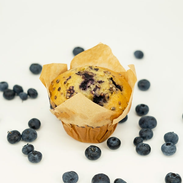 Muffin aux myrtilles