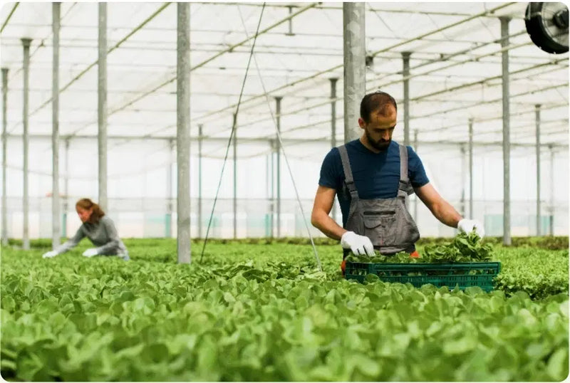 Frais, local, sans conservateurs